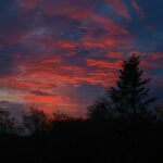 nick-nice-jCIwbe5beEI-unsplash